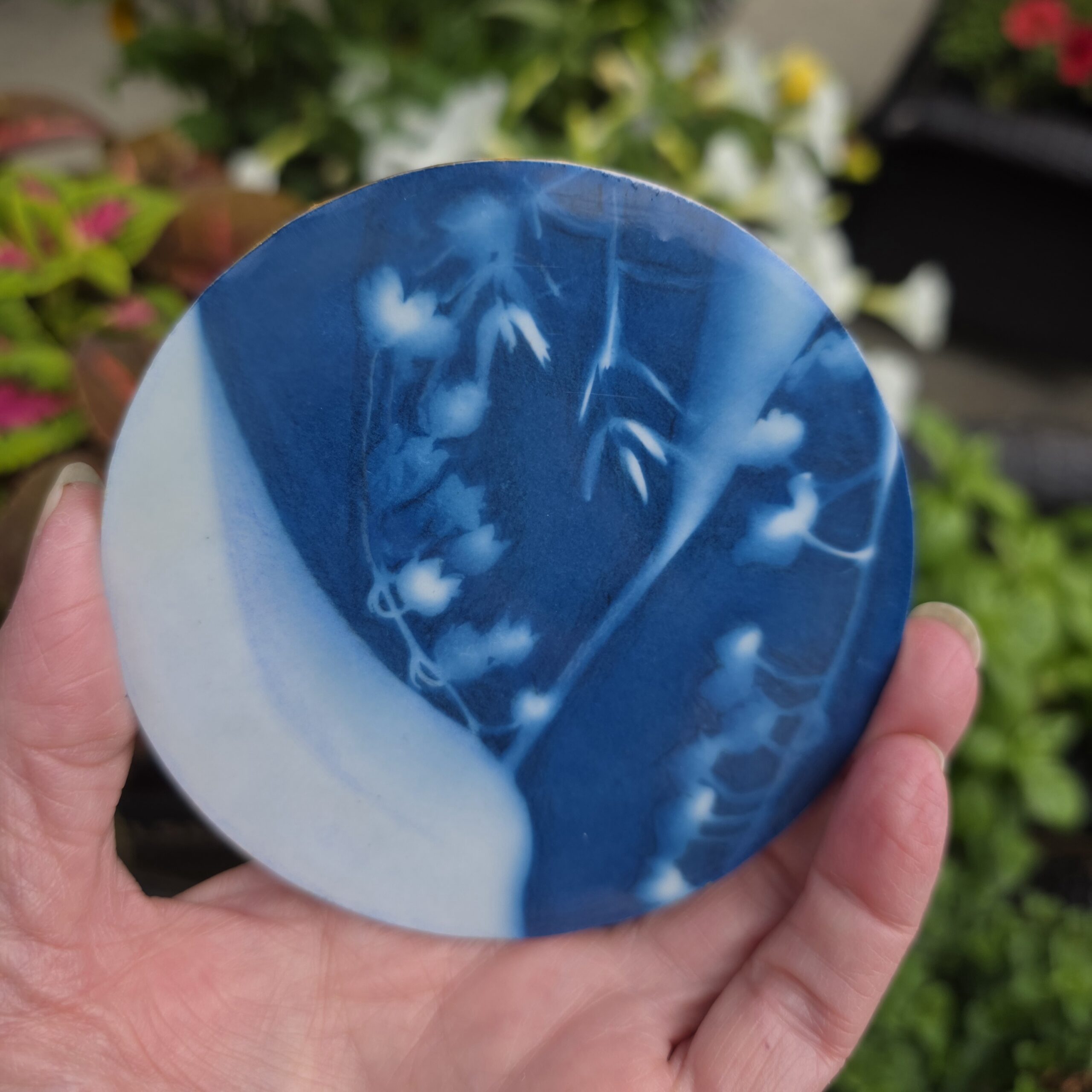 Spring Garden (Cyanotype Monoprint) #4