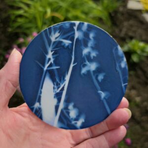 Spring Garden (Cyanotype Monoprint) #2