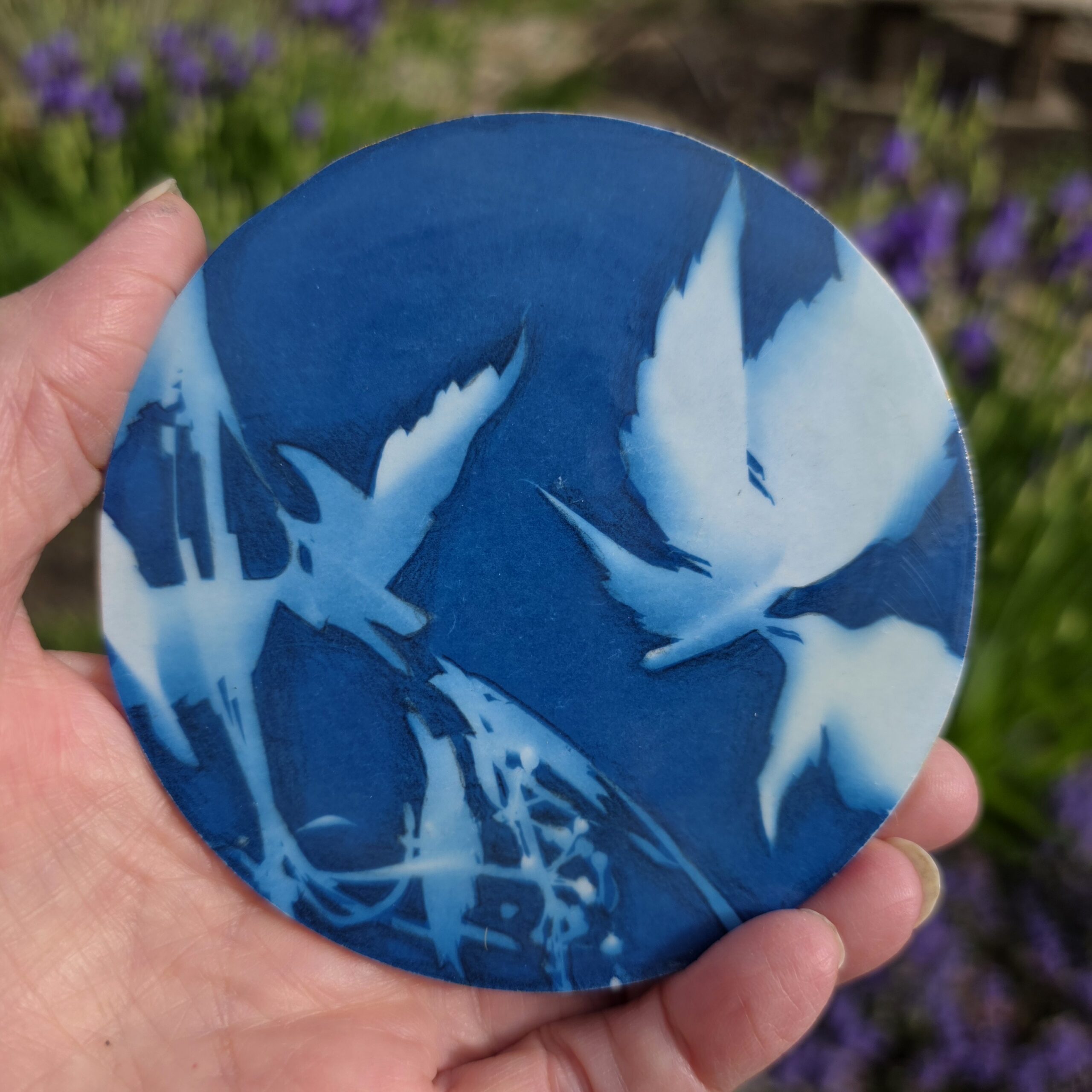 Spring Garden (Cyanotype Monoprint) #1